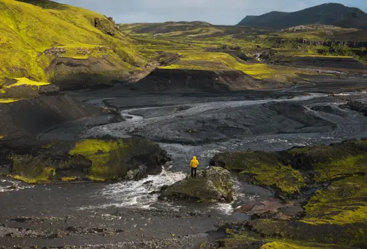 South Coast Black Sand Moss Hills Iceland Large