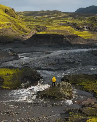 South Coast Black Sand Moss Hills Iceland Large