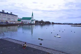 Tjornin And Birds In Reykjavik Downtown Large