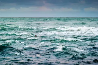 Seal Head Diamond Beach Ocean Medium1600x1067