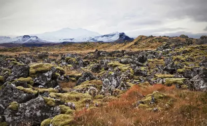 Moss-covered lava fields at the base of Snæfellsjökull volcano in Iceland, with rugged terrain and distant snow-covered peaks.