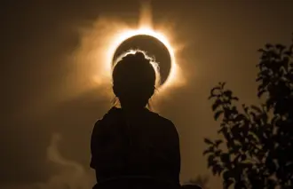 Shutterstock 2446301659