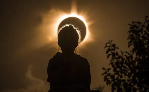 Shutterstock 2446301659