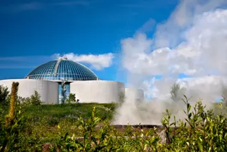 View of Perlan Museum and observation deck through a steam cloud and greenery.