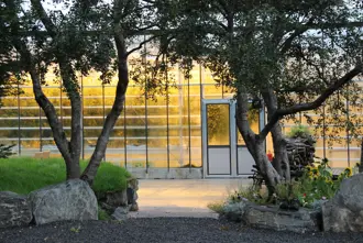 Friðheimar tomato farm outside the greenhouse with two trees by the entrance.