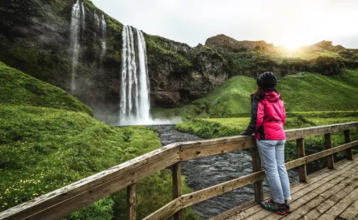 Woman in pink jacket admiring Seljalandsfoss waterfall on Iceland's 7 day tour in lush green Icelandic landscape at sunrise.