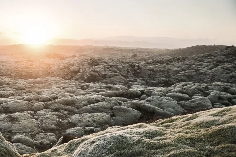 Reykjanes peninsula lava field with moss on blue lagoon day tour in Iceland,
