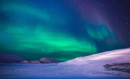 Reykjavik Northern Lights Tour Large1800x1200