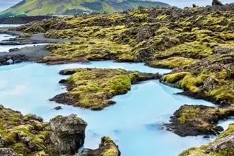 The Blue Lagoon surrounded by a moss grown lava field in Reykjanes Iceland.