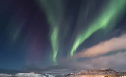 Breathtaking Northern Lights illuminating the night sky above snowy Icelandic mountains and a calm sea.