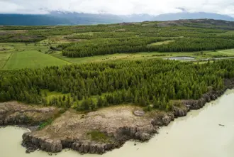 Aerial view of the lush green forest along Lagarfljót river near Egilsstaðir, East Iceland, with rolling hills and tranquil waters, showcasing the natural beauty of Iceland.