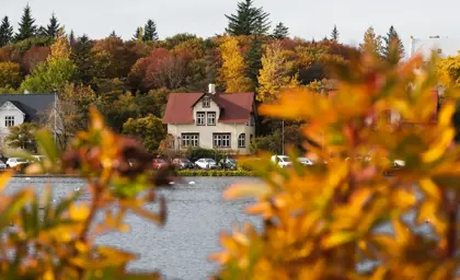 Lake Tjörnin pond in Reykjavík with views through trees and house in the background.
